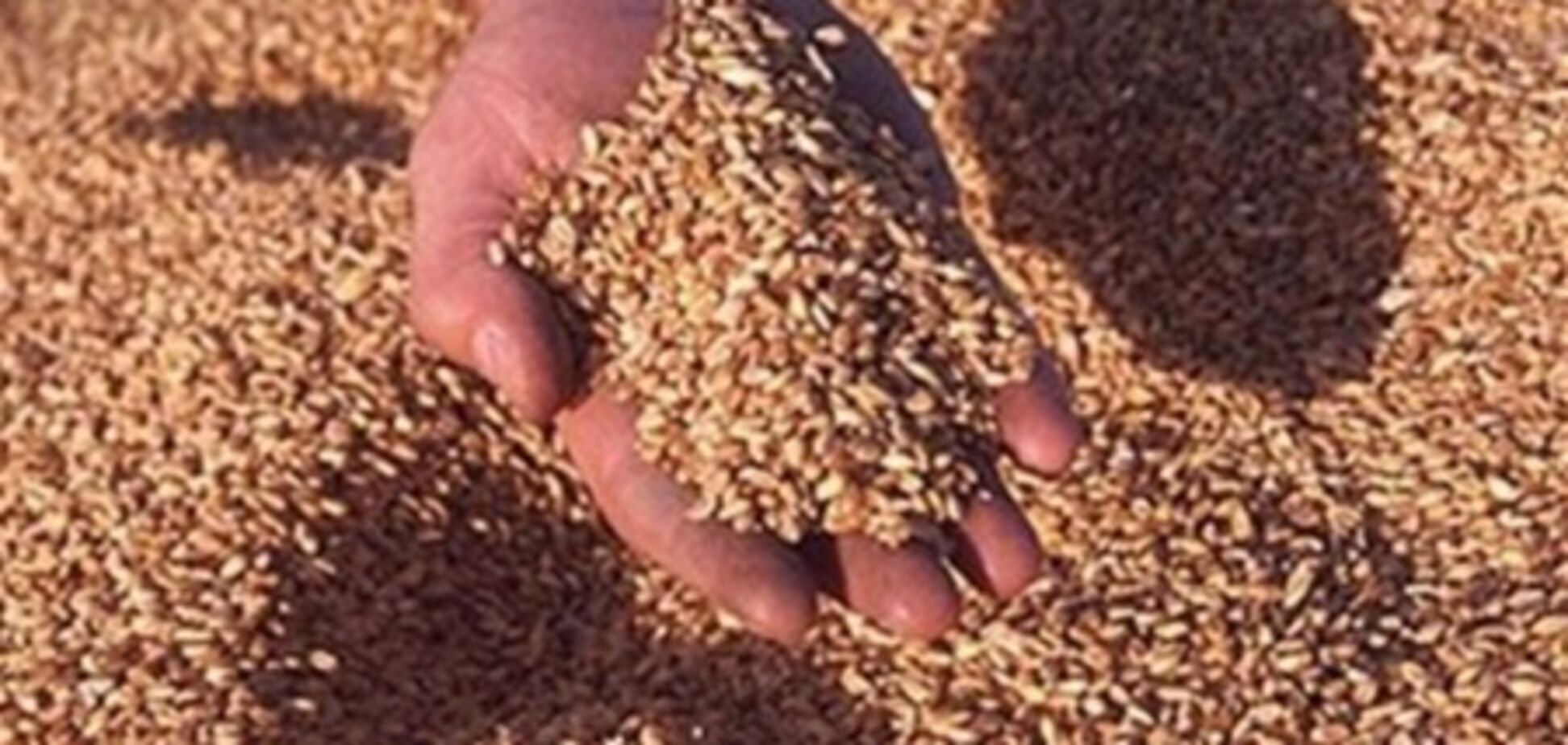 Специалисты не могут объяснить таможенные ставки на зерно