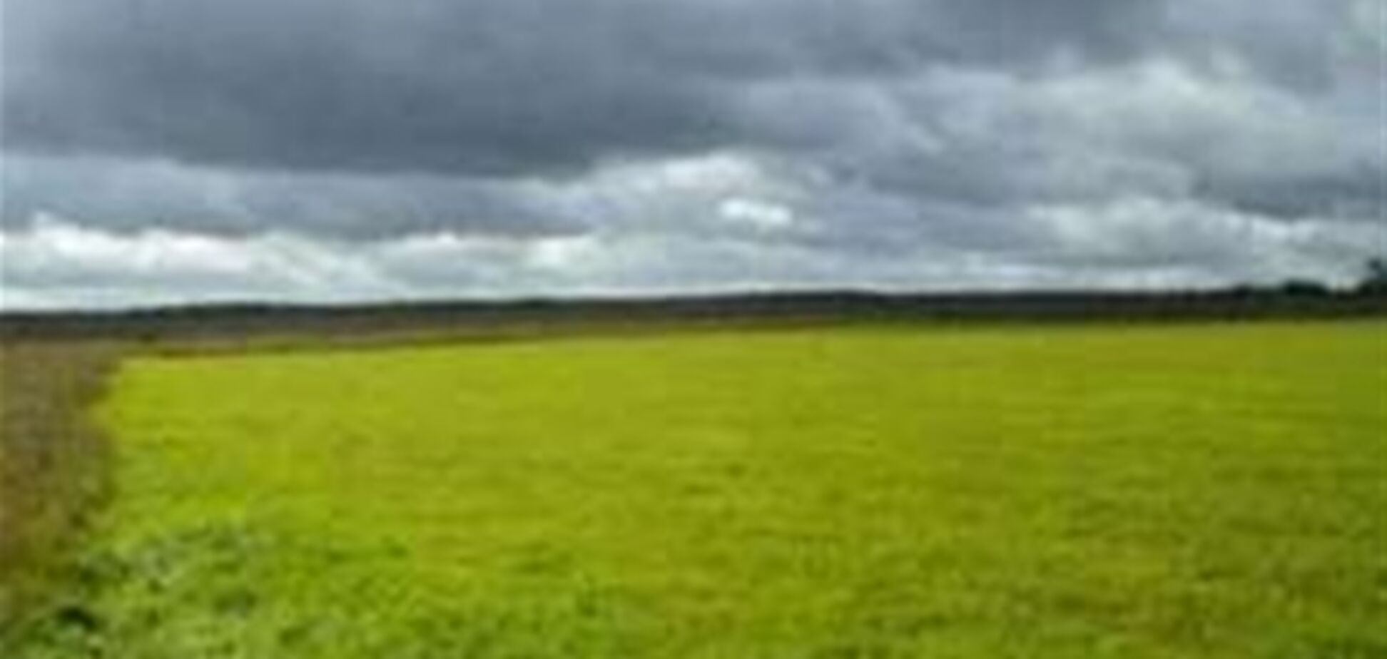 Дачники могут остаться без земли