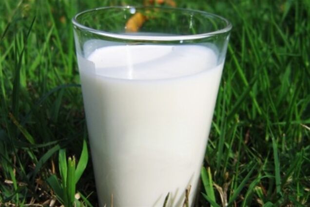 Беларусь перестанет поставлять молоко России