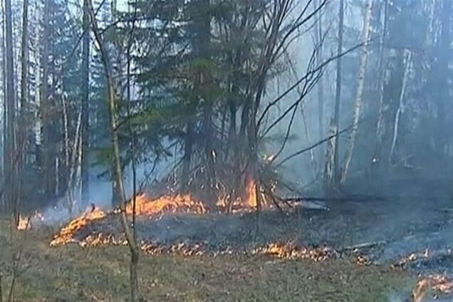 Россия в огне: площадь пожаров увеличилась на треть