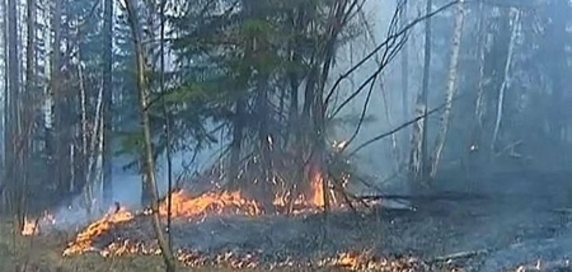 Россия в огне: площадь пожаров увеличилась на треть