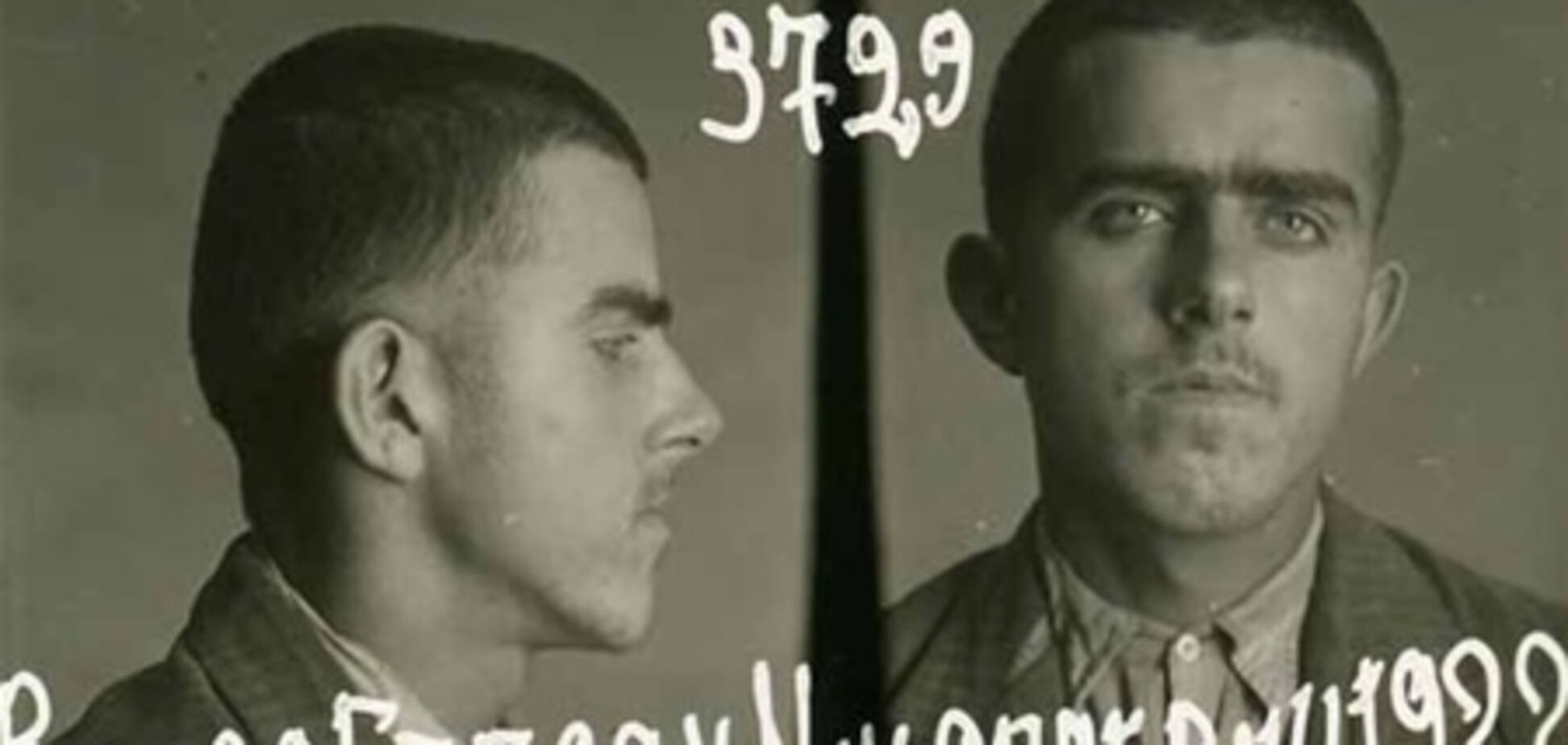 Степан Вайда: Герой Радянського Союзу, член ОУН