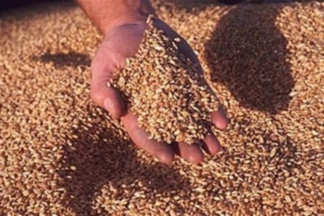 Украина ежегодно теряет 6 млн. тонн зерновых