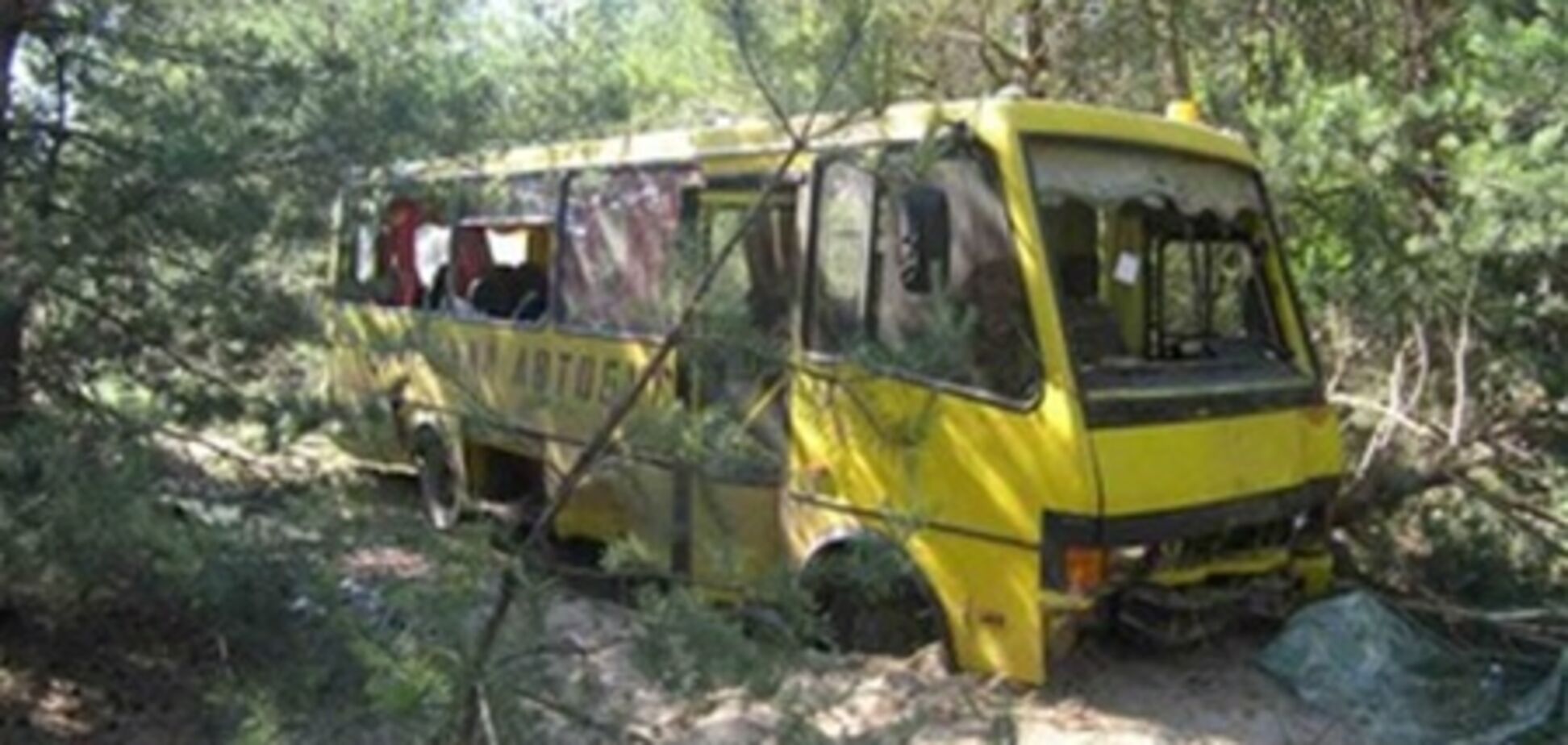 Автобус с детьми слетел с дороги на Днепропетровщине: есть пострадавшие