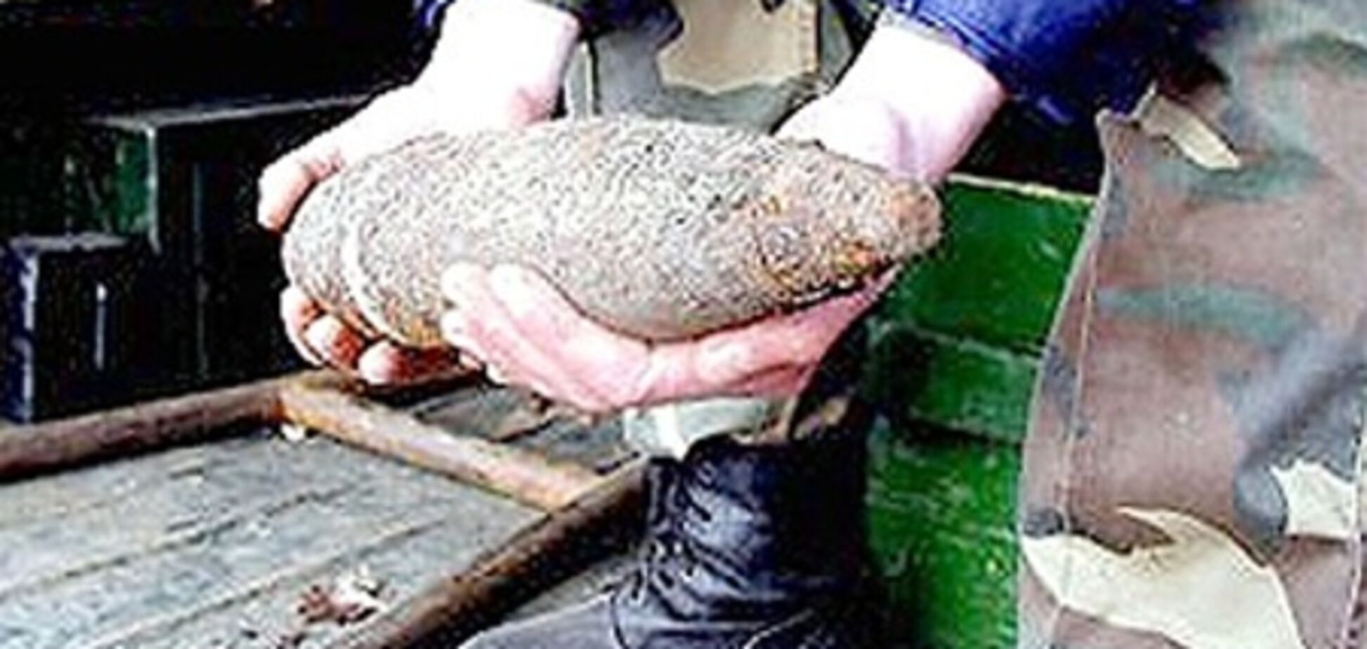 На шосткинском заводе 'Звезда' произошёл взрыв: погибли два испытателя боеприпасов