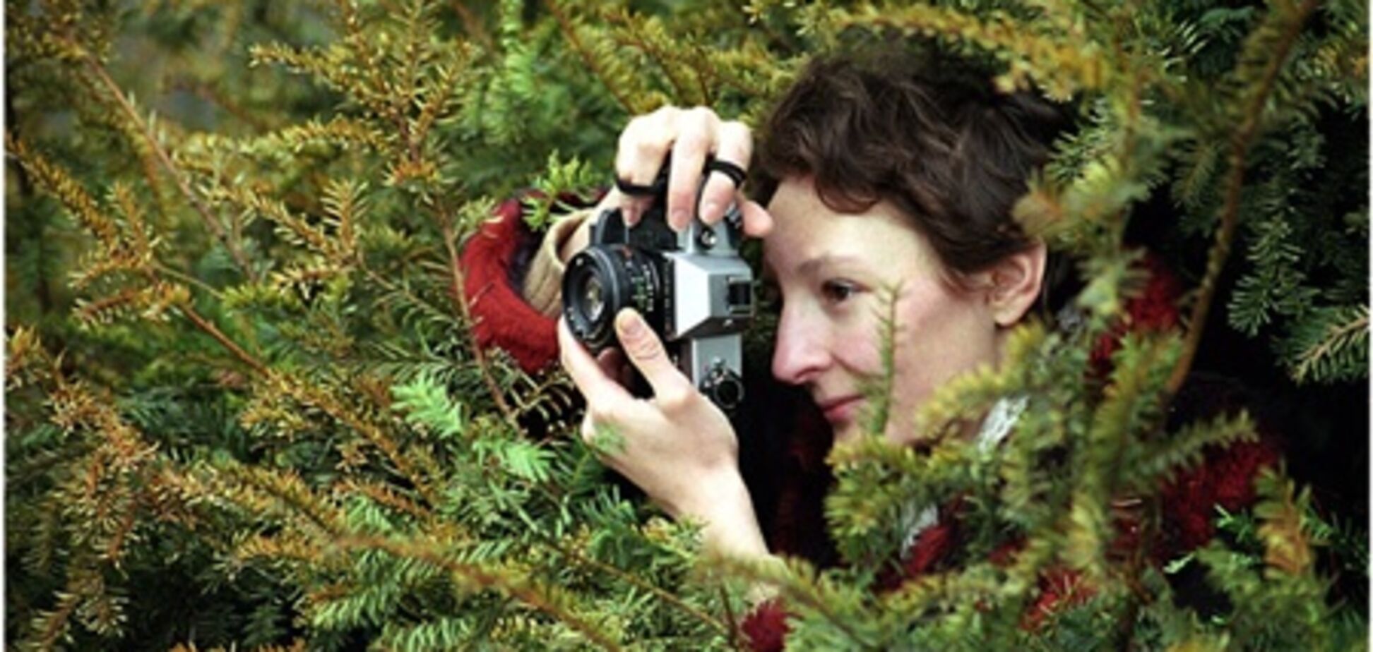 Папарацци – особенности экстремальной журналистики