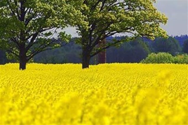 Литва вышла на второе место в ЕС по росту ВВП