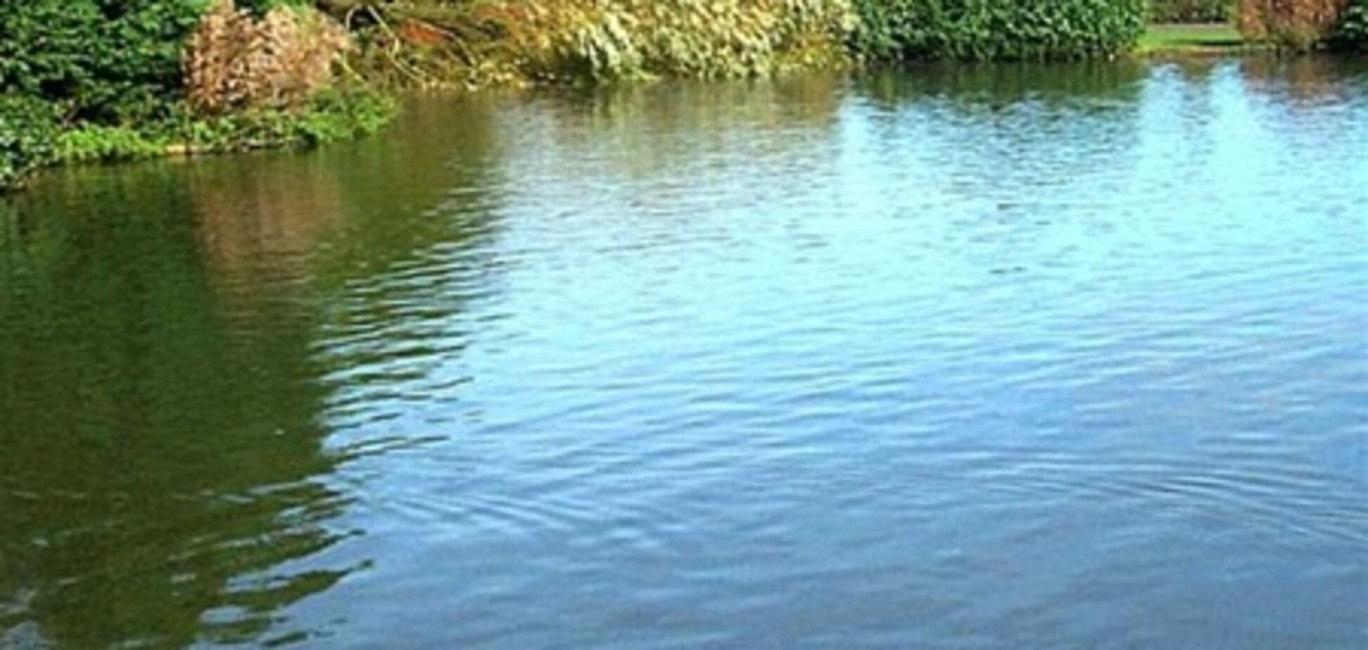 Парень утонул, а его пьяные друзья тем временем смеялись и наблюдали