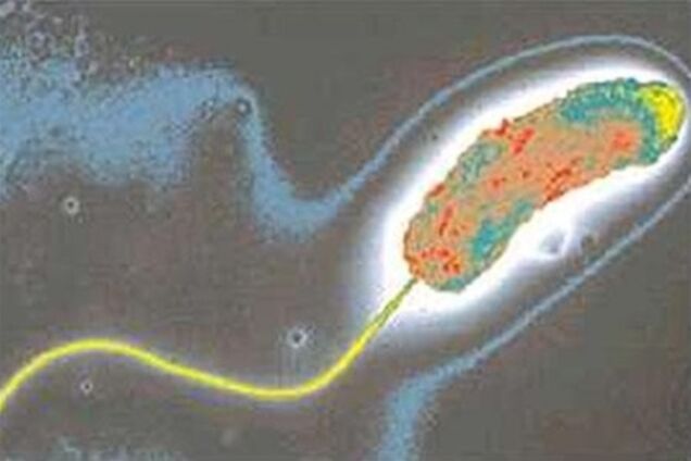 В Мариуполе запрещено купаться, ловить и продавать рыбу