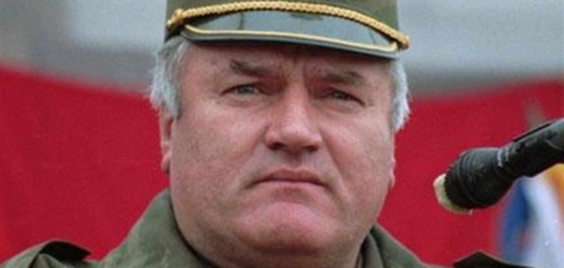 Ратко Младич відхрещується від масових страт мусульман