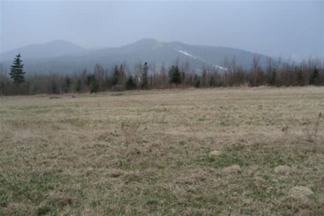 Джарты рассказал о судьбе самозахваченных земель в Крыму