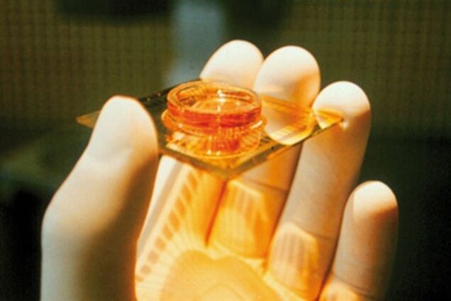 В Швеции зафиксирован летальный исход от кишечной палочки