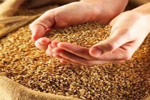 До 2030 року продукти харчування можуть подорожчати більш ніж удвічі