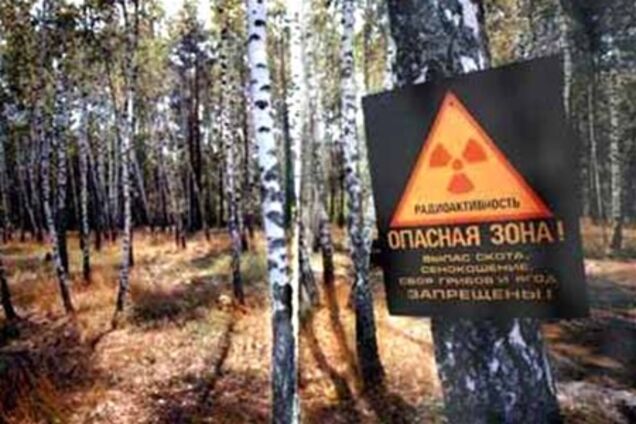 Чорнобильська зона вироблятиме енергію з відновлюваних джерел 