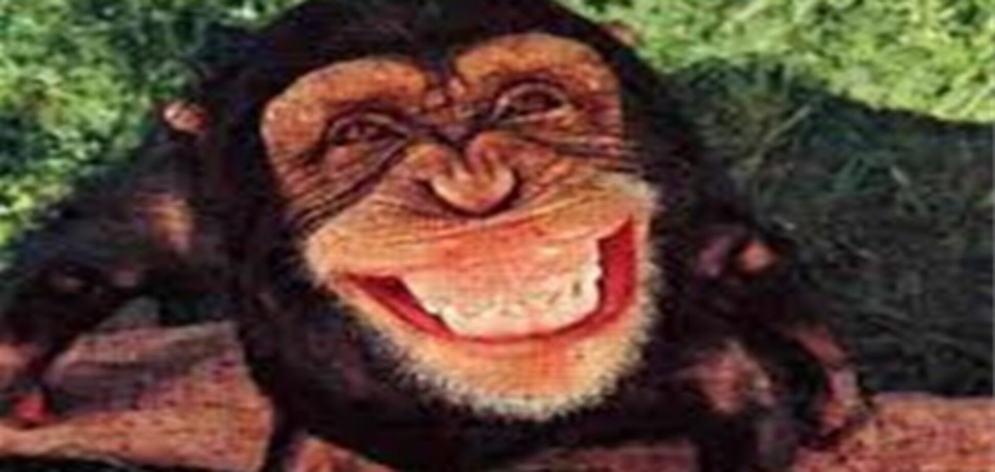 Twitter видав владі дані скандального чиновника, який ховався під ніком 'Містер Мавпа'