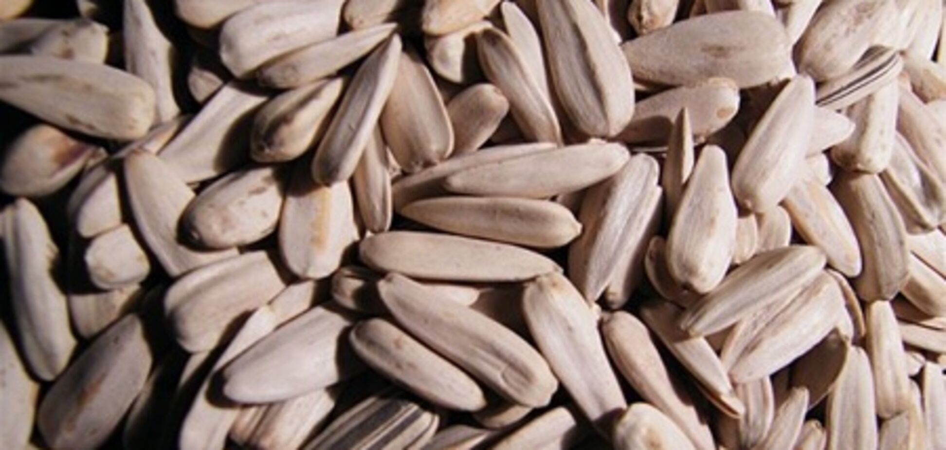 Находчивый мужчина получил 2.5 млн кредита взамен на семечки