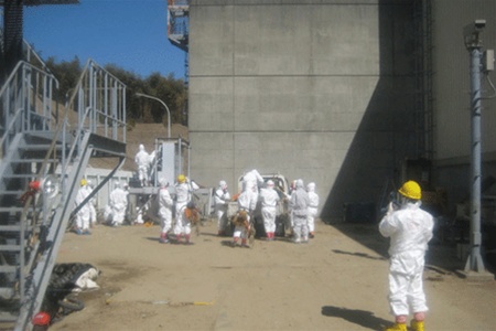 Япония начинает закрывать свои АЭС