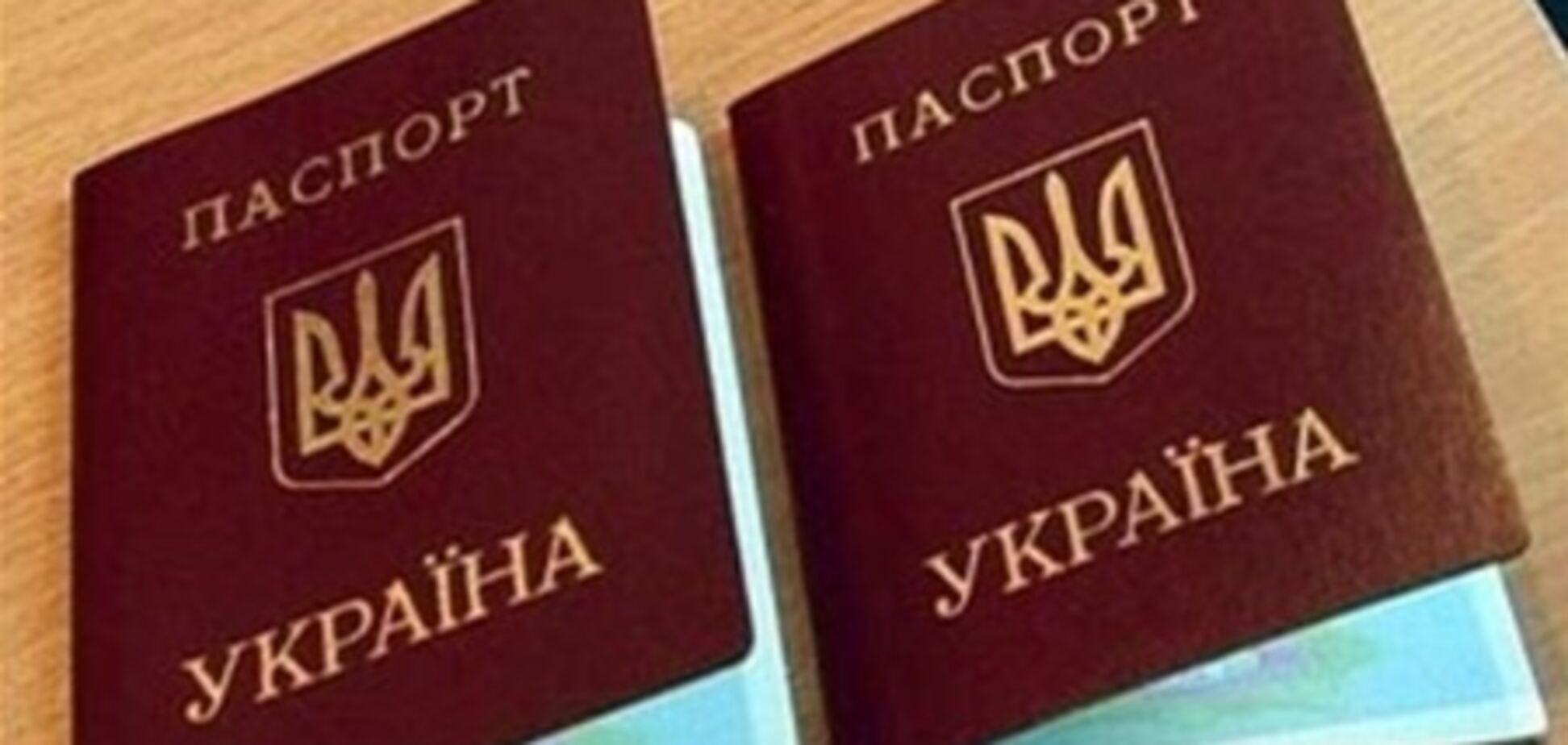 Правозащитники просят заморозить счета украинских чиновников