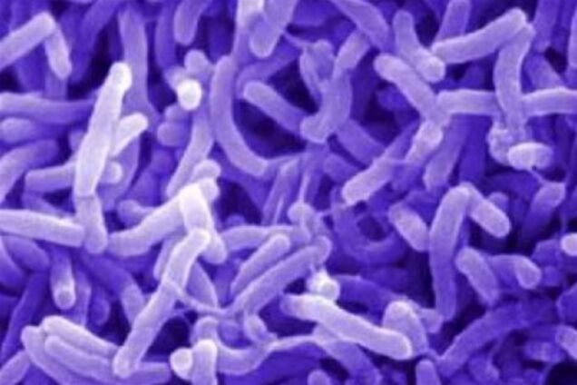 Кишкова інфекіця в Німеччині: число померлих досягло 30 осіб