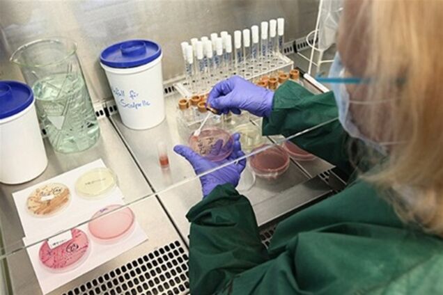 У Німеччині перевіряють нове джерело кишкової інфекції