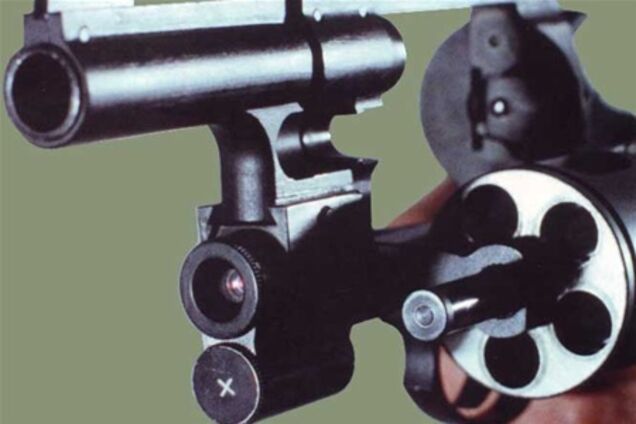 П'яний американець зіграв в 'російську рулетку' з собакою