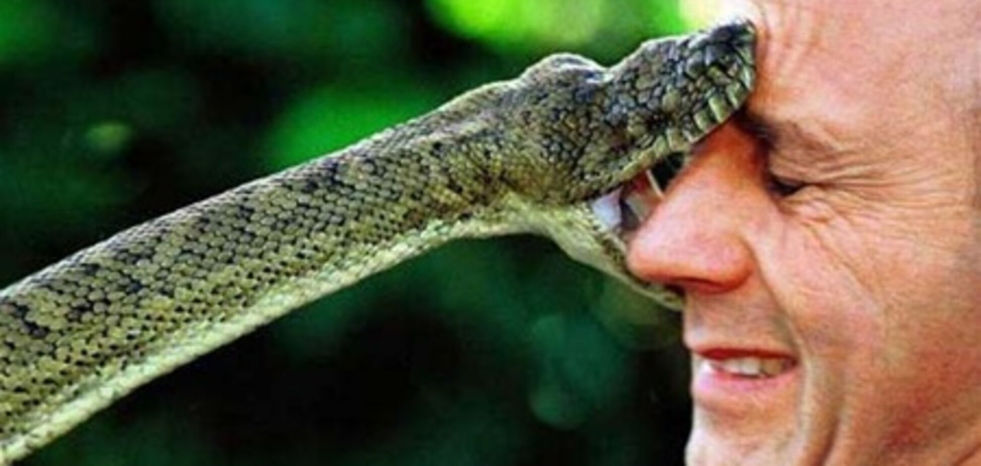 Змеиный яд – подарок Минздрава