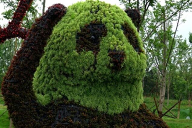 Неймовірні тварини з квітів у Китаї