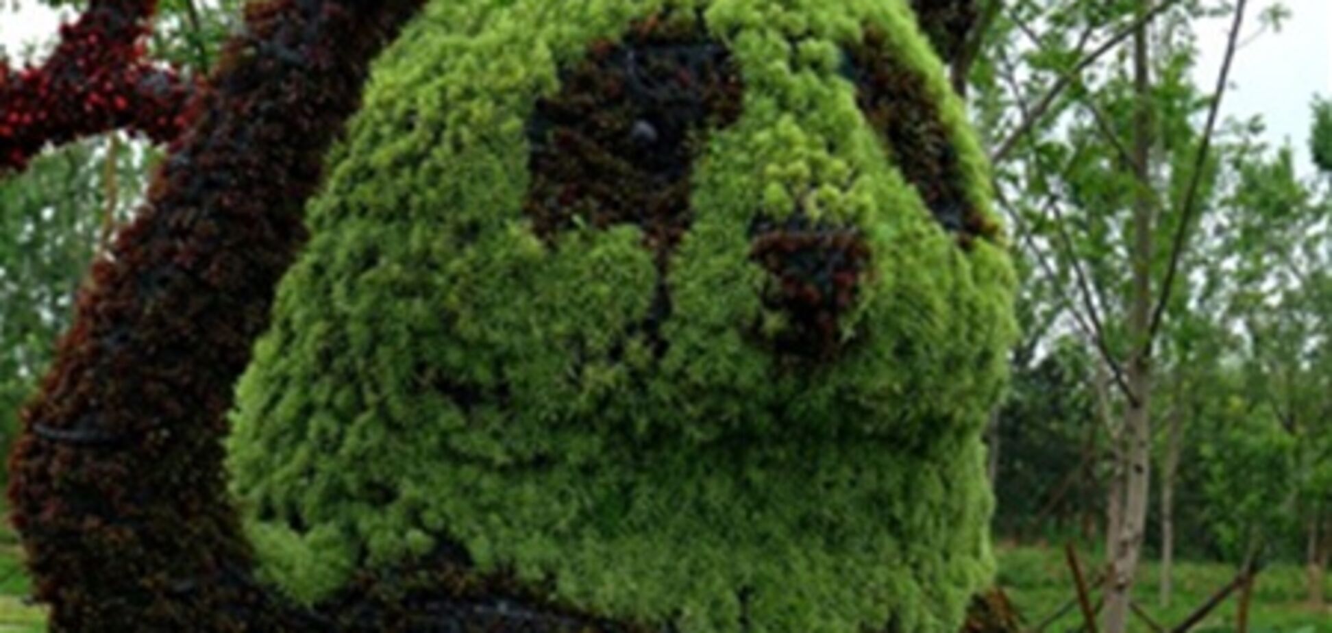 Неймовірні тварини з квітів у Китаї