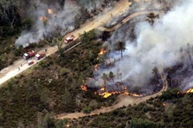 Под Киевом сгорело 28 га леса