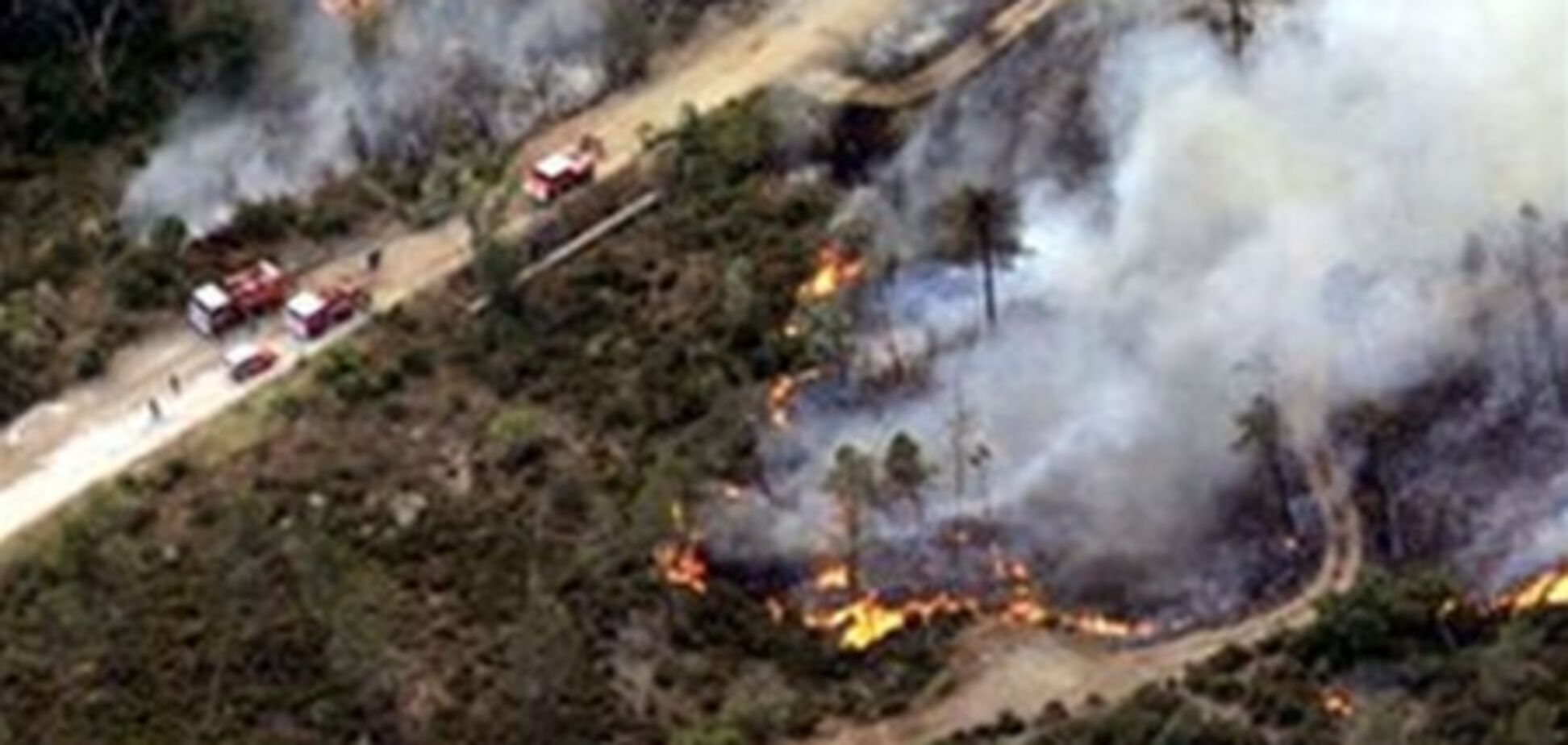 Под Киевом сгорело 28 га леса