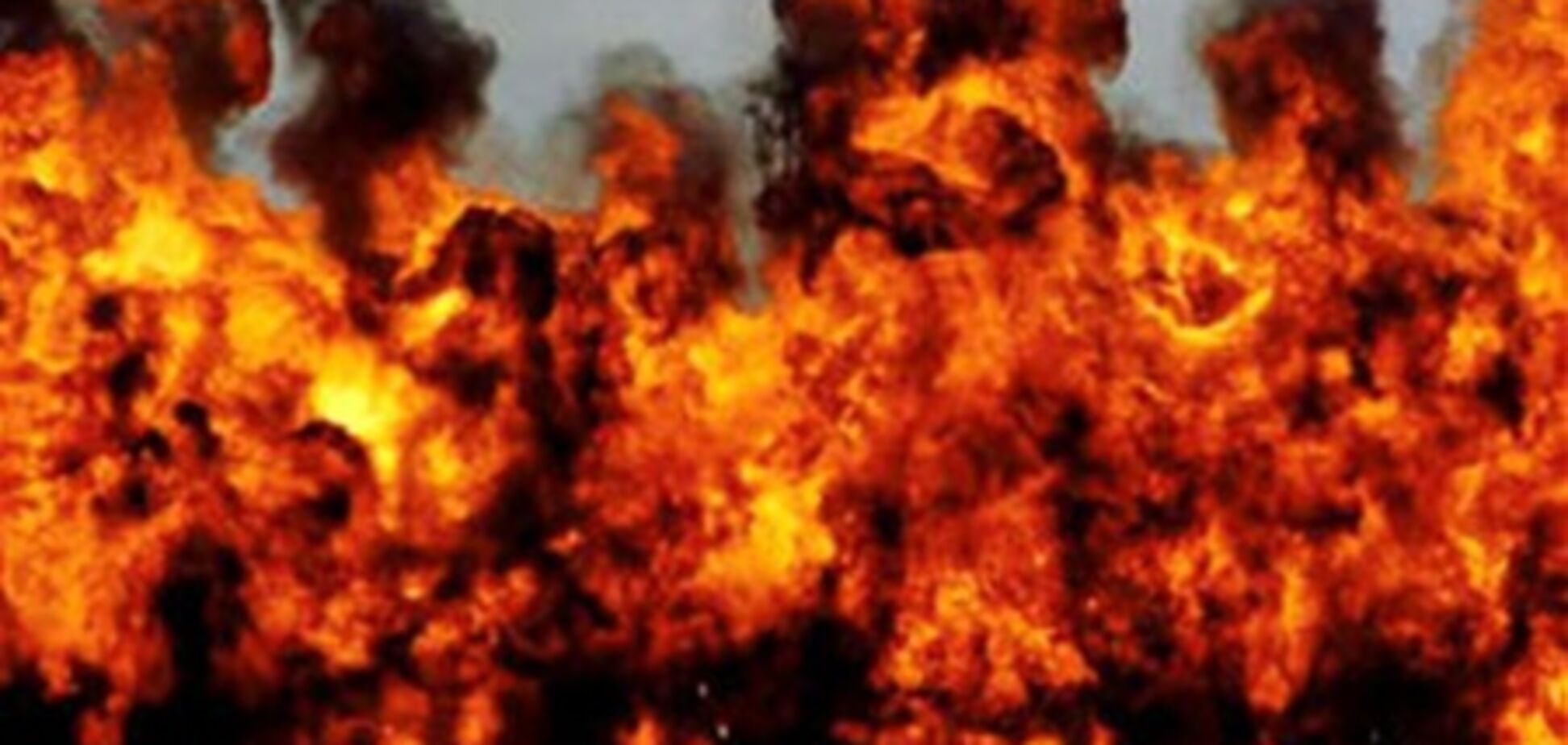 США помогут Вьетнаму провести зачистку от 'агента Оранж'