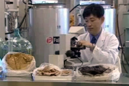 Японцы научились делать мясо из экскрементов и уже делают шитбургеры. Видео
