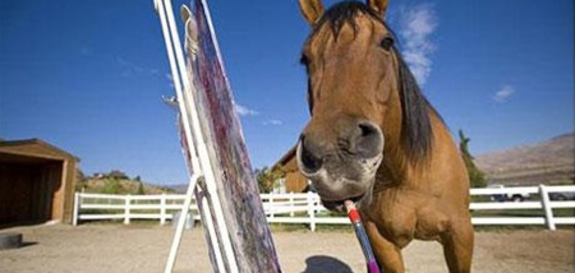 Конь открыл свою выставку картин