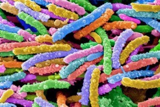 Загадочная кишечная инфекция уже добралась до США