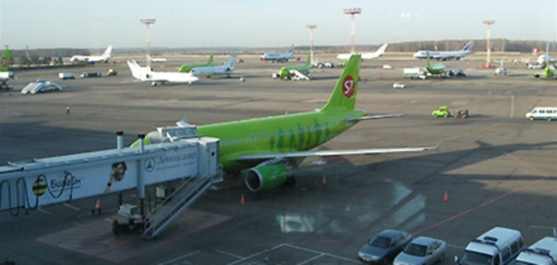 Женщина смогла незаконно проникнуть на борт самолета в «Домодедово»