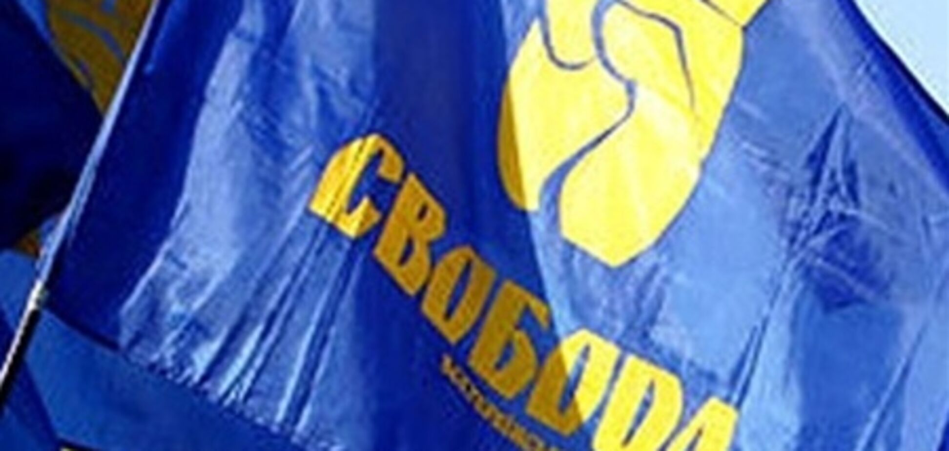 «Свобода» - едущим во Львов протестовать: Купите бронированные памперсы