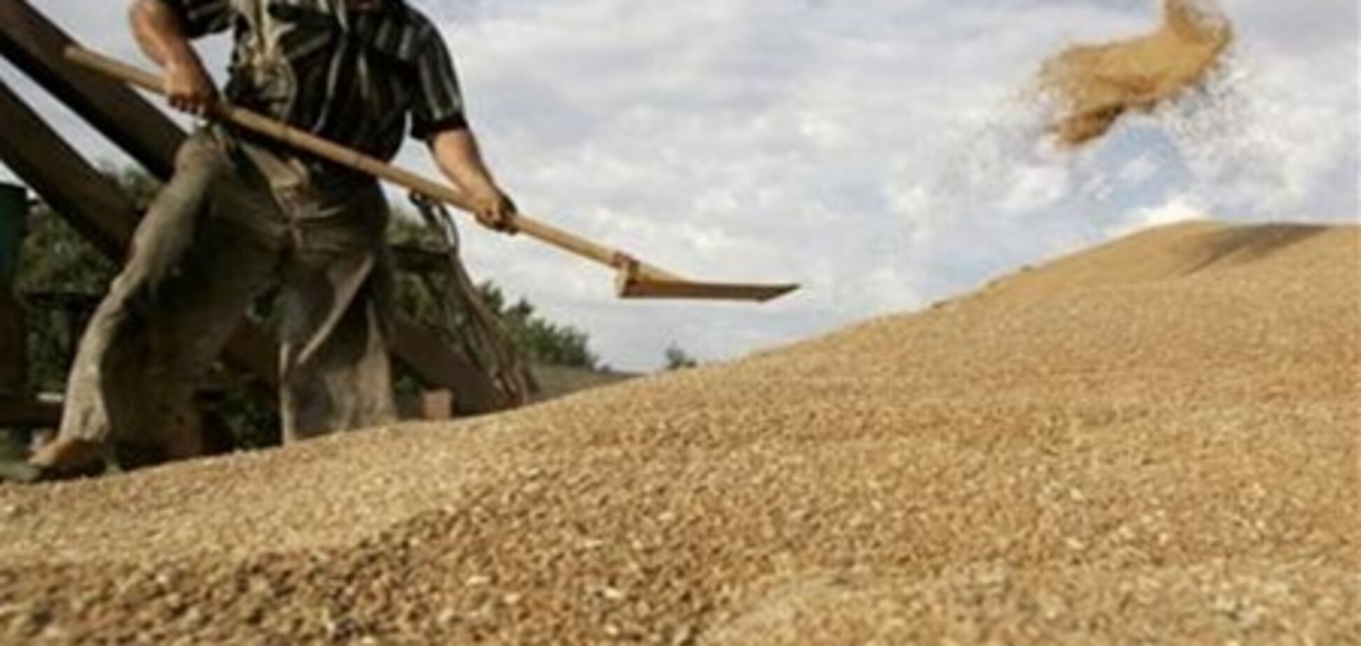 Украина продала ливийским повстанцам партию пшеницы