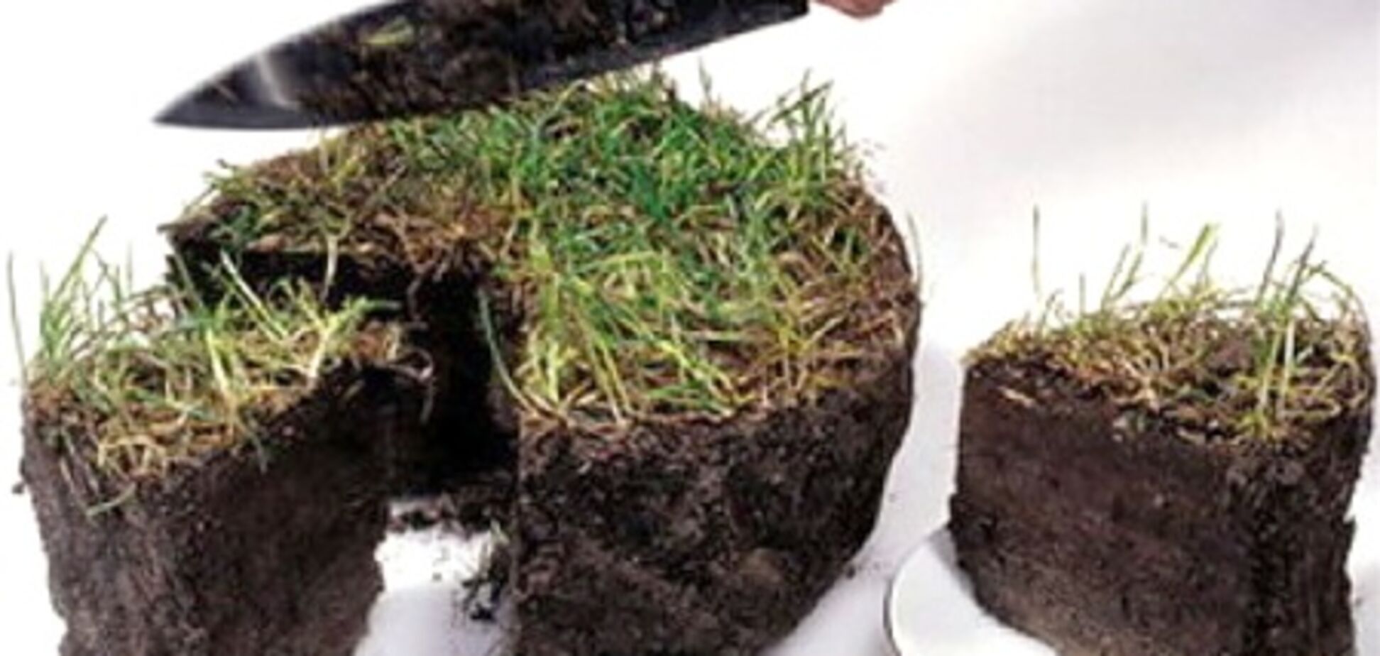 Земля и реформаторы.Ч.1