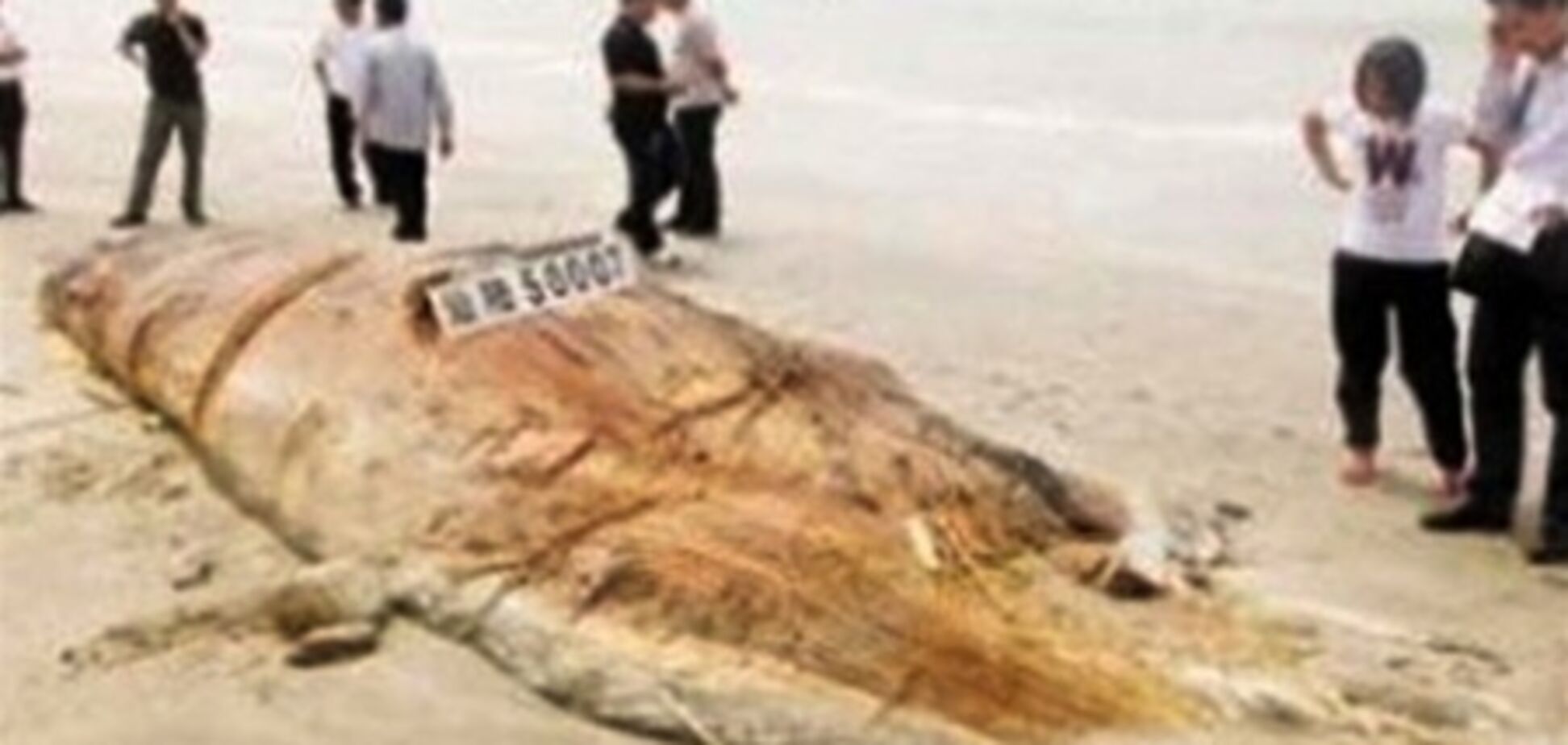 На побережье Китая океан выбросил 'неизвестное чудовище'. Фото