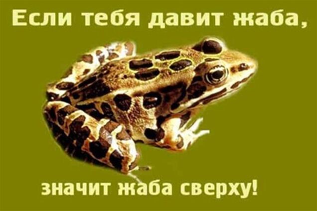 'Обозреватель' - самый рейтинговый новостной сайт