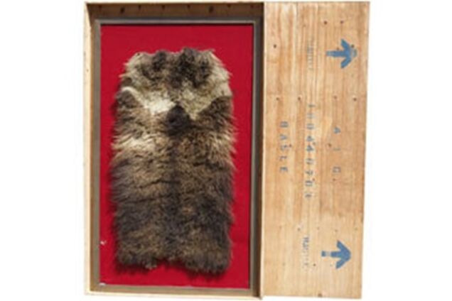 ”Шкуру Yeti” продали на аукционе в Швейцарии