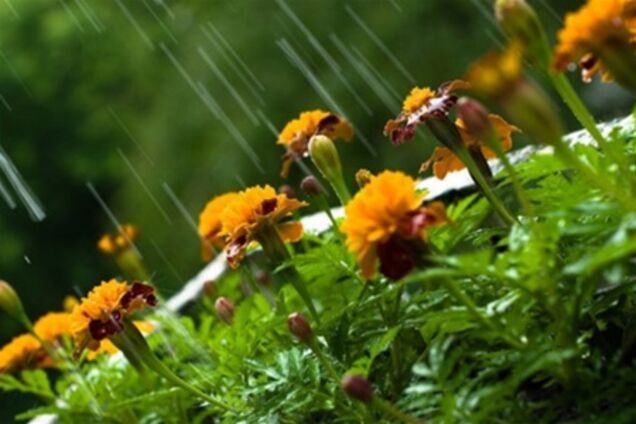 В Киеве ожидается резкое похолодание