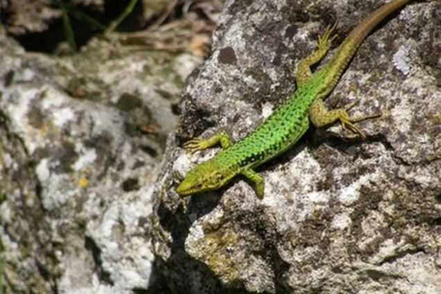 Как правильно отдохнуть в Крыму