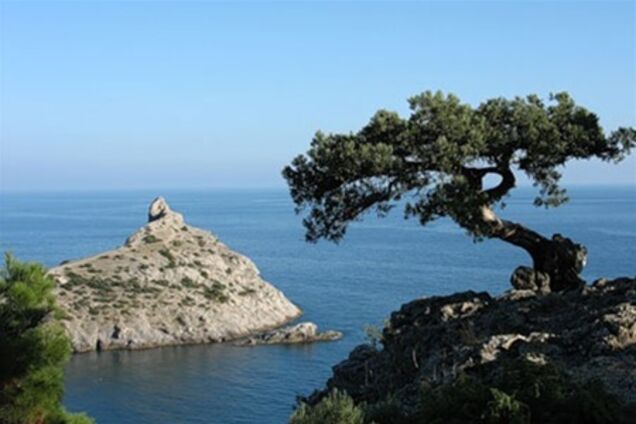 В Крыму понастроят пятизвездочных отелей