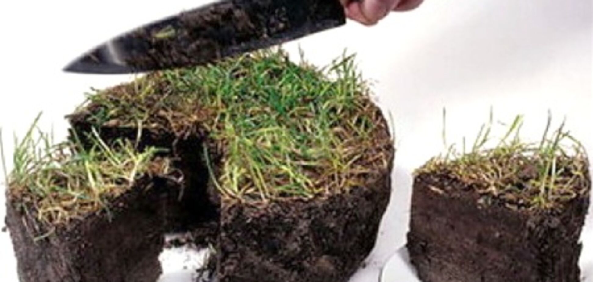 Земля и арендаторы. Ч. 2