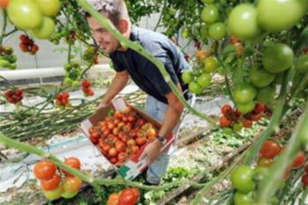 Еврокомиссия предложила помочь европейским фермерам