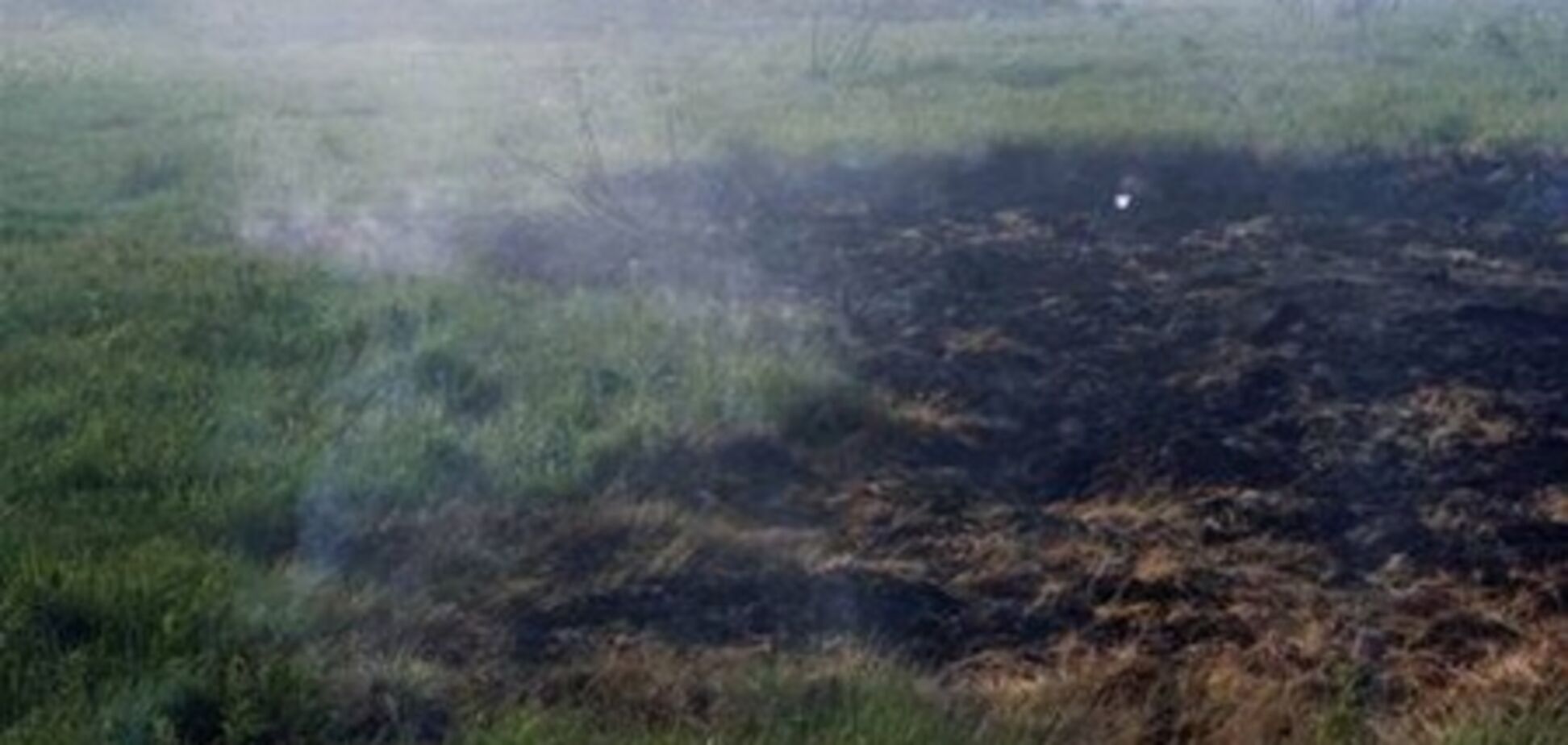 На Волині горять торфовища