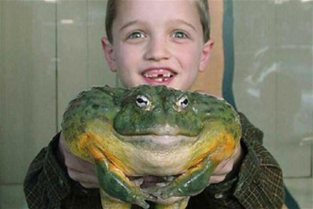 Самые большие животные