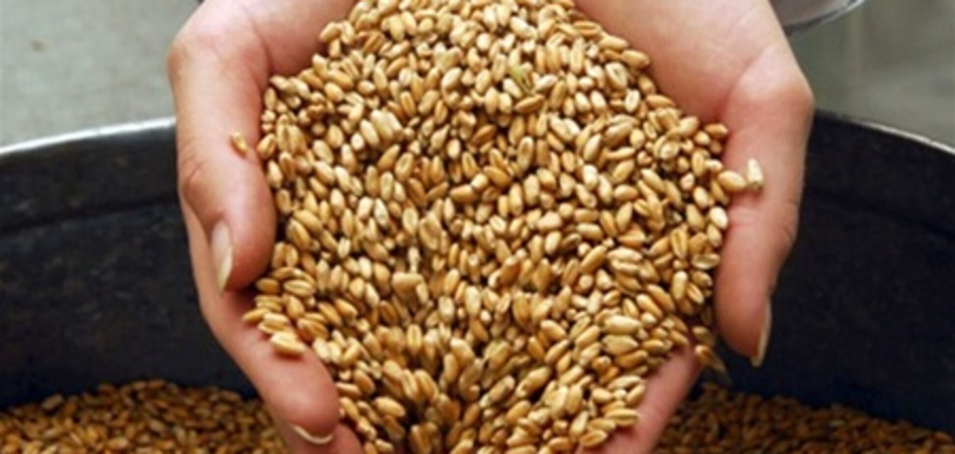 Украина ввела экспортные пошлины на зерно