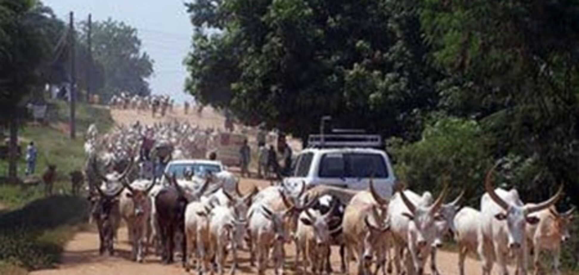 В Африке появится новая валюта